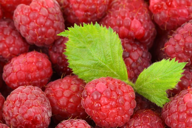 https://en.papouch.com/data/user-content/products/extrapi/red-raspberries-from-papouch.jpg